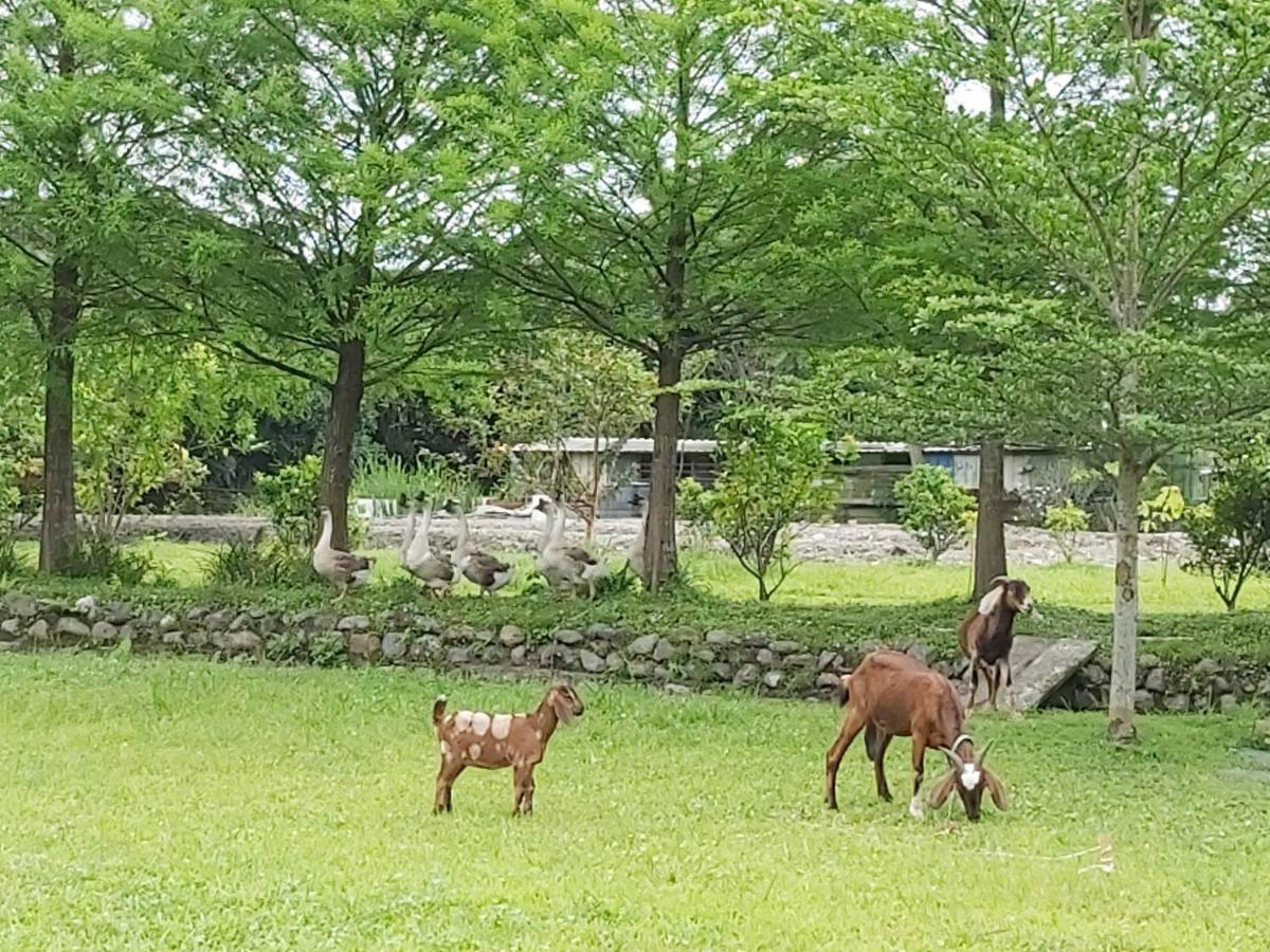 Meihua Lake Leisure Farm Tungsan Kültér fotó
